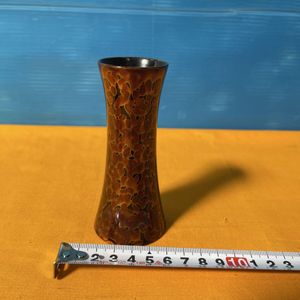 金虫の値段と価格推移は？｜15件の売買データから金虫の価値がわかる 