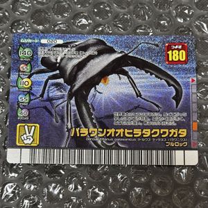 パラワンオオヒラタ ムシキングの値段と価格推移は？｜6件の売買データ