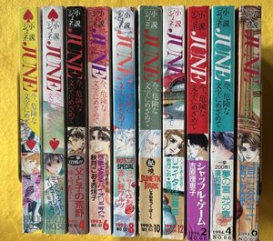 小説JUNEの値段と価格推移は？｜2件の売買データから小説JUNEの価値が