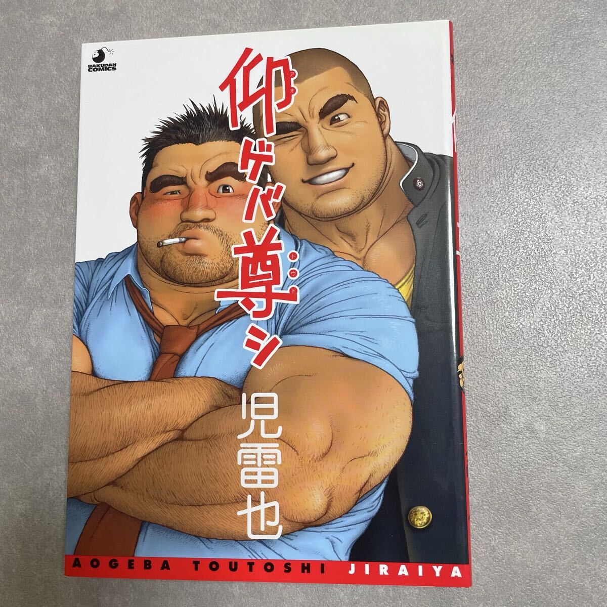 ゲイコミックの値段と価格推移は？｜16件の売買データからゲイコミック