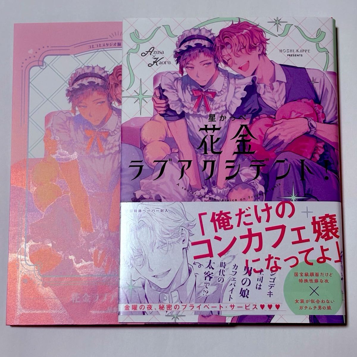 BL漫画の値段と価格推移は？｜37件の売買データからBL漫画の価値が