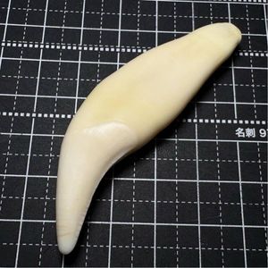 熊 牙の値段と価格推移は？｜18件の売買データから熊 牙の価値がわかる