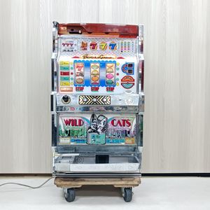 ワイルドキャッツ パチスロの値段と価格推移は？｜1件の売買データから