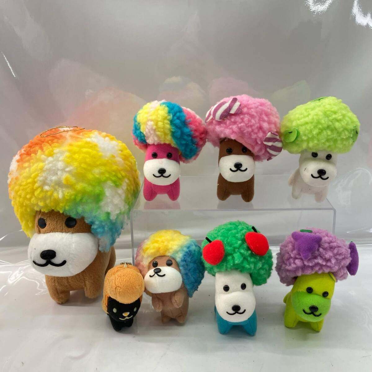 アフロ犬 ぬいぐるみの値段と価格推移は？｜8件の売買データからアフロ