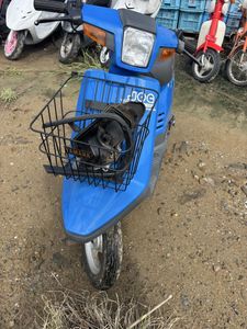 ペリカンジョグの値段と価格推移は？｜224件の売買データからペリカン