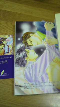 恋がしたたり落ちる夜 あすま理彩 甲田イリヤ リーフ 新書 ノベルズ 売買されたオークション情報 Yahooの商品情報をアーカイブ公開 オークファン Aucfan Com