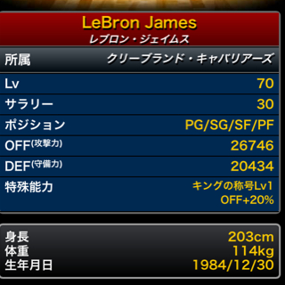 NBAドリームチーム SSレブロン 覚醒済み_2