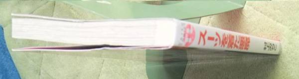 村上みちこ スーツを着た悪魔 送料1円tlシリーズ 女性 売買されたオークション情報 Yahooの商品情報をアーカイブ公開 オークファン Aucfan Com