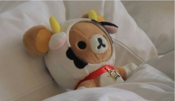 リラックマ ぬいぐるみ おうし座 Exo チャニョル 超レア リラックマ 売買されたオークション情報 Yahooの商品情報をアーカイブ公開 オークファン Aucfan Com