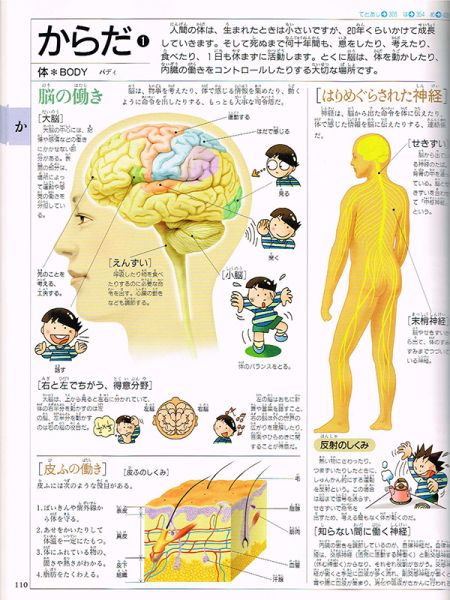 小学館 21世紀こども百科 第2版 Wow ワウ 図鑑 売買されたオークション情報 Yahooの商品情報をアーカイブ公開 オークファン Aucfan Com
