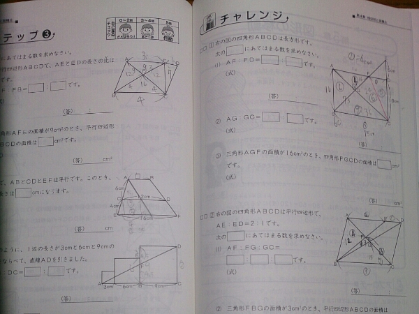 SAPIXサピックス☆算数 BASIC 基本60題 ⑤ 平面図形2(中学受験)｜売買