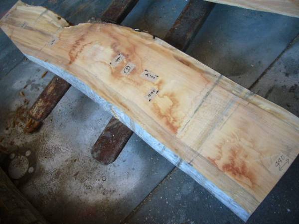 欅(けやき)無垢一枚板/長2，100×幅250～440×厚80mm 座卓天板⑦
