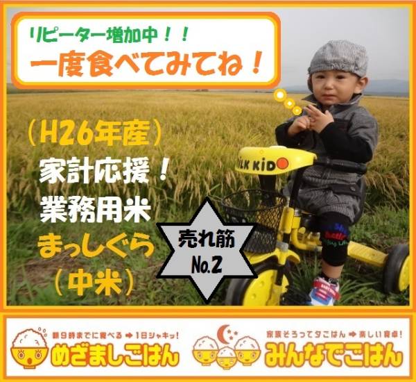 235☆農家直売！お得米！【家計応援 業販仕様】 白米30KG☆