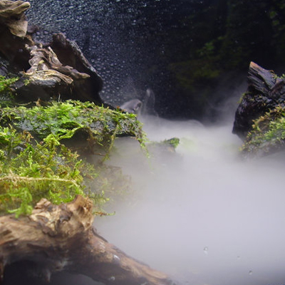 ネペンテスなど植物育成にも ミストメーカー 霧発生装置 その他 売買されたオークション情報 Yahooの商品情報をアーカイブ公開 オークファン Aucfan Com ネペンテスなど植物育成にも ミストメーカー 霧発生装置 その他 売買されたオークション情報 Yahooの商品情報をアーカイブ公開 オークファン Aucfan Com