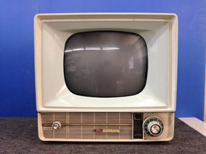 東芝 真空管 白黒テレビ 真空管 アンティーク 昭和レトロ 14EA 白黒