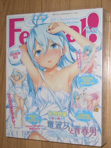 電撃G's Festival! 電波女と青春男 藤和エリオ抱き枕カバー(抱き枕