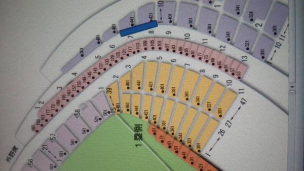 5/15　巨人vsヤクルト　1塁側2階席最前列ペア