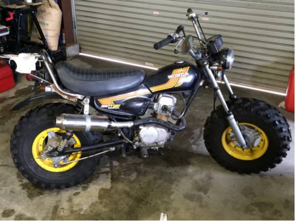 ノーティーダックス いかがでしょう？ 目立ちます。