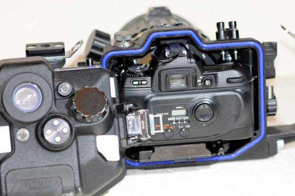 SEA&SEA NX80 ギア 水中カメラ ハウジング 【公式通販】