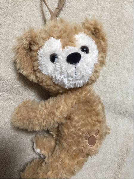 【美品】ディズニーシー ダッフィー バッグ ぬいぐるみ_1