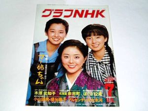 グラフNHKのYahoo!オークション(旧ヤフオク!)の相場・価格を見る