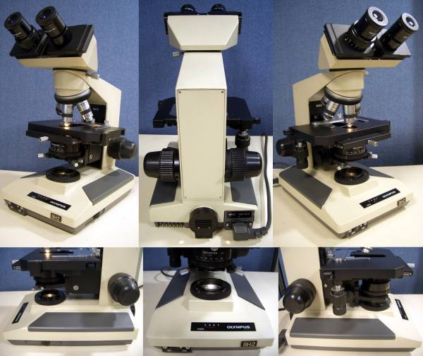 オリンパス　双眼生物顕微鏡 BH-2 BHTU 美品