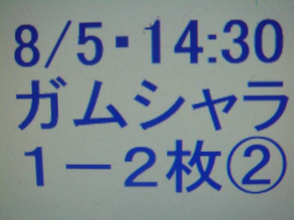 【特別公演】8/5ガムシャラ！サマーステーション14時【1-2枚】②_1