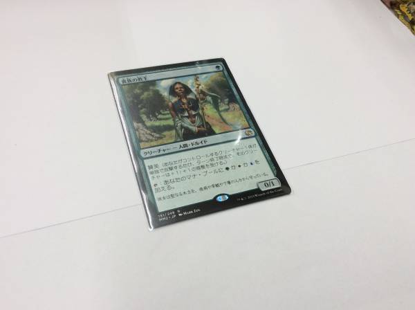 モダマス MTG 貴族の教主 /１５１／２４９／Ｒ
