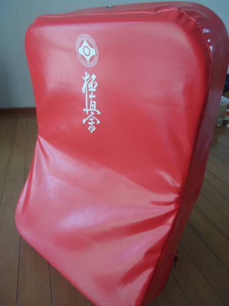 極真空手 ビッグミット (キックミット)(空手)｜売買されたオークション 