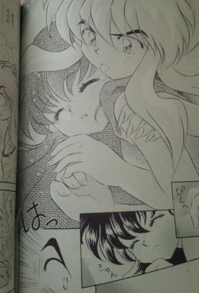 犬かご 犬夜叉 かごめ 花更紗 夢朧 犬夜叉 売買されたオークション情報 Yahooの商品情報をアーカイブ公開 オークファン Aucfan Com