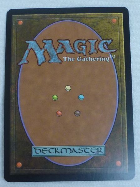 MTG 不毛の大地 Wasteland Foil 英語版 ジャッジ褒賞 DCI
