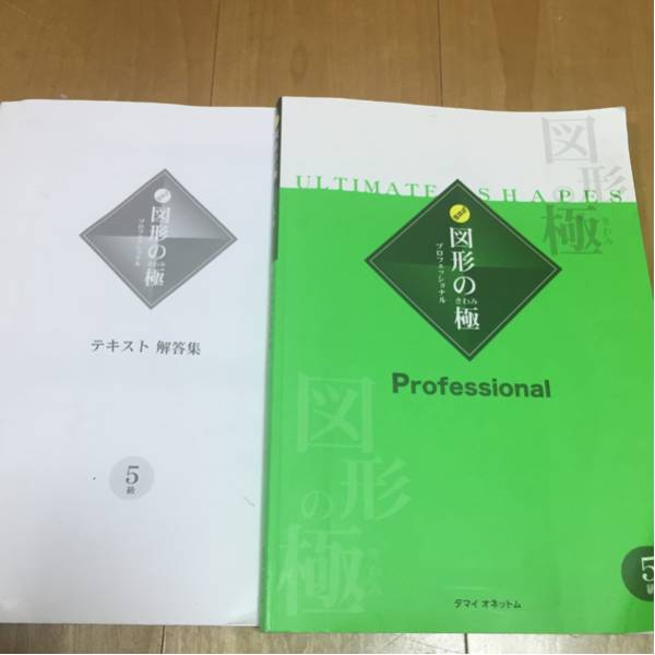 図形の極 図形 ５級 解説 玉井式 図形の極 5級 学習、教育 学習参考書 【公式通販】