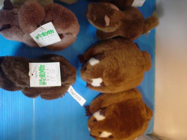TAITO/タイトー 日本の野生動物ぬいぐるみ11匹(動物)｜売買された