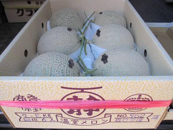 ★☆【実験店舗】静岡クラウンメロン”白”7.5ｋｇ952☆★