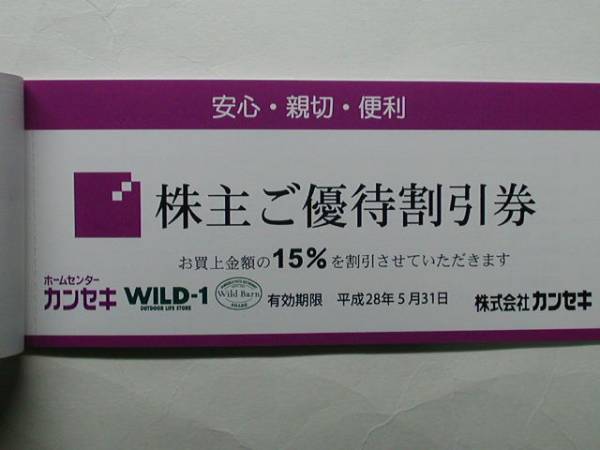 ホームセンターカンセキ株主優待15％割引券10枚（送料無料）