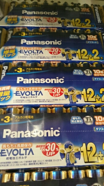 アルカリ乾電池 単３ パナソニックエボルタ 250本 送料800円
