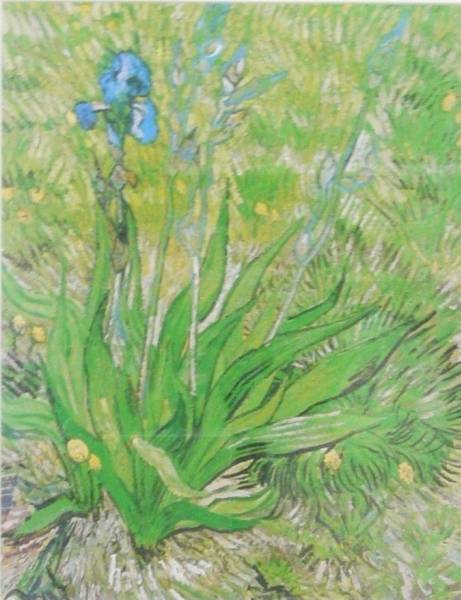『アイリス』フィンセント・ヴァン・ゴッホ：複製画
