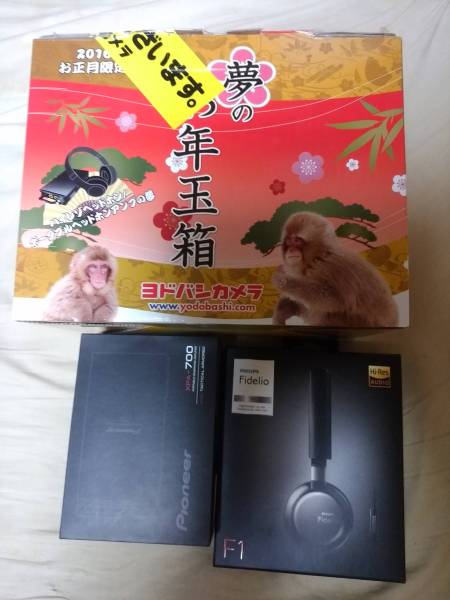 ヨドバシ2016福袋　　ハイレゾヘッドホン　ヘッドホンアンプの夢