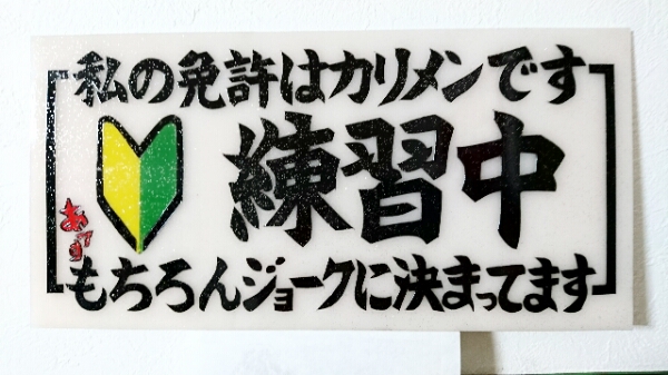 普通ナンバー用 アンドン板のみ 新品 レトロ ピンクレディー？！