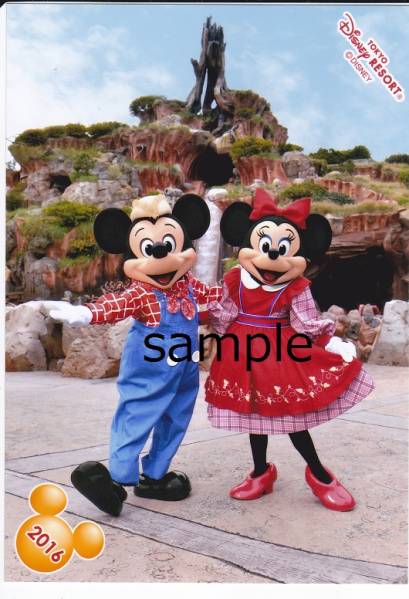 送料込 ディズニー スペシャルフォト ライド ミッキー＆ミニー