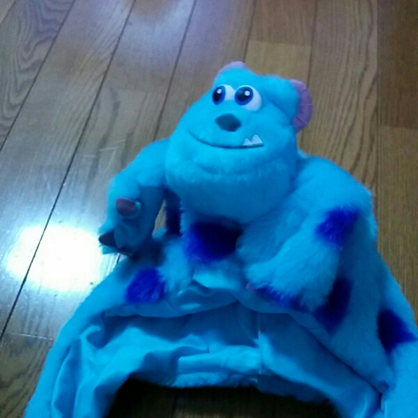 ディズニー　ファンキャップ　サリー★アクション有★中古_2