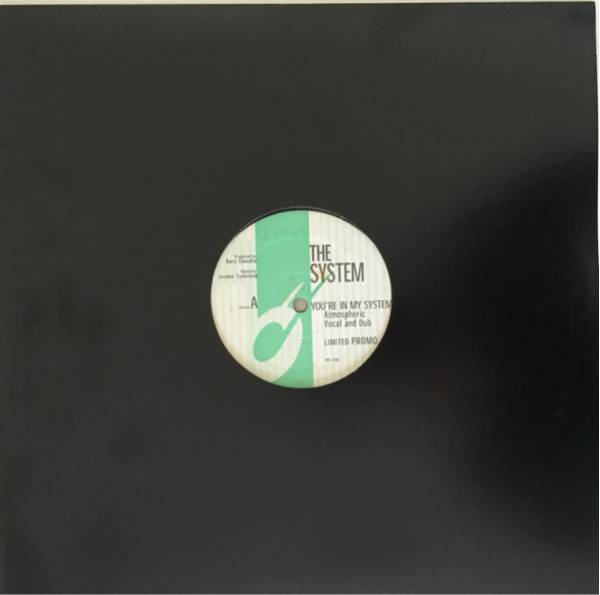 レア! The System / You're In My System Kerri Chandler ibadan