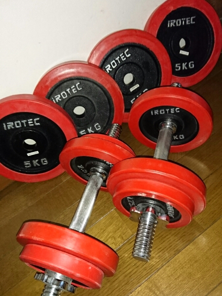 IROTEC 20kgダンベル 2個セットまとめ売り 40kg 中古 筋トレ