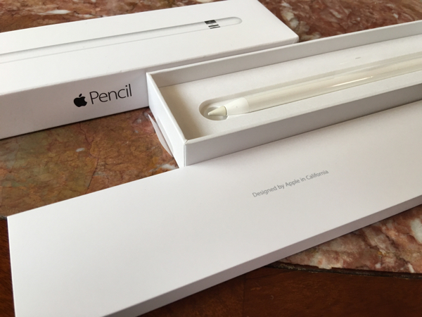 【美品】Applepencil 【1円～スタート最落無】