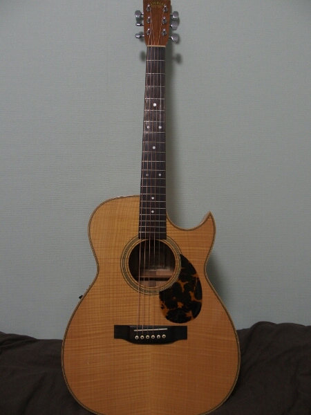 [レア良品]アストリアス ASTURIAS EC MAPLE CU PU 国産エレアコ