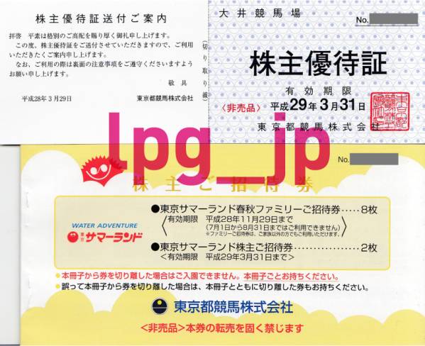 施設利用券 東京サマーランド 1Dayパス（株主優待券）8枚 ＆ 大井競馬
