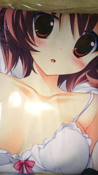 【中古】服部彩抱き枕カバー 恋色空模様 すたじお緑茶 るちえ