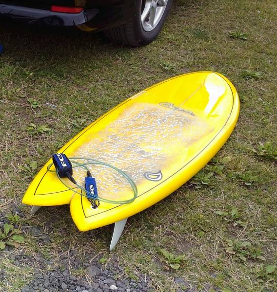 SANTACRUZ SOYBEAN サンタクルーズ ソイビーン 5'6” 新品展示品
