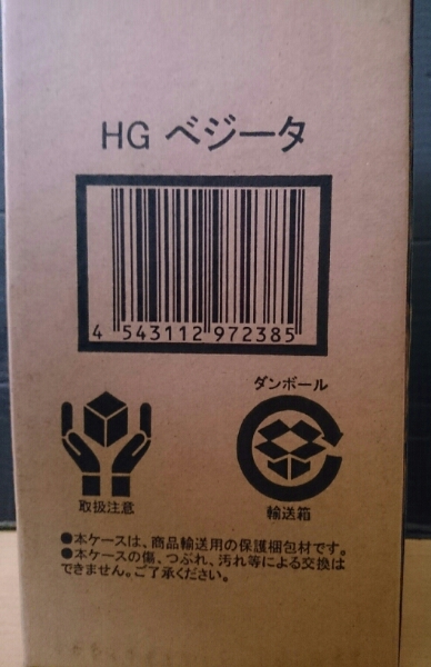 g181000931.3