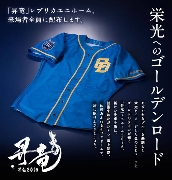 ☆8月11日 中日vsヤクルト ドラゴンズ外野応援レフト 大人２枚